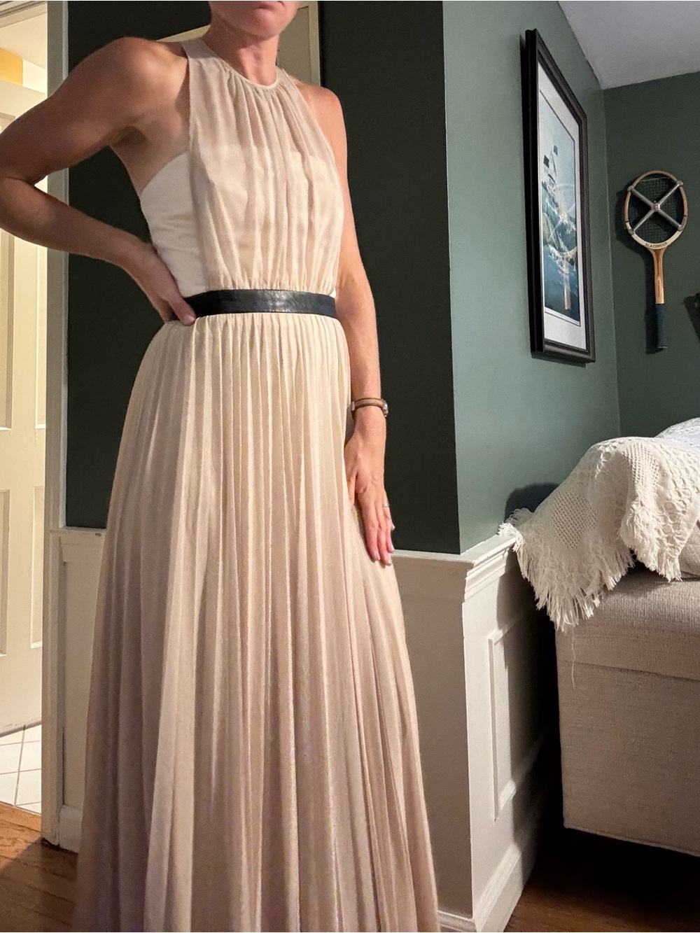 ABS Allen Schwartz Pleated Dress, cream with sheer overlay & black waistband